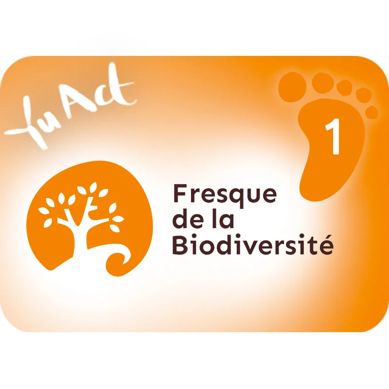 Fresque de la Biodiversité